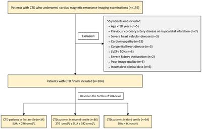 Association of serum uric acid with right cardiac chamber remodeling assessed by cardiovascular magnetic resonance feature tracking in patients with connective tissue disease